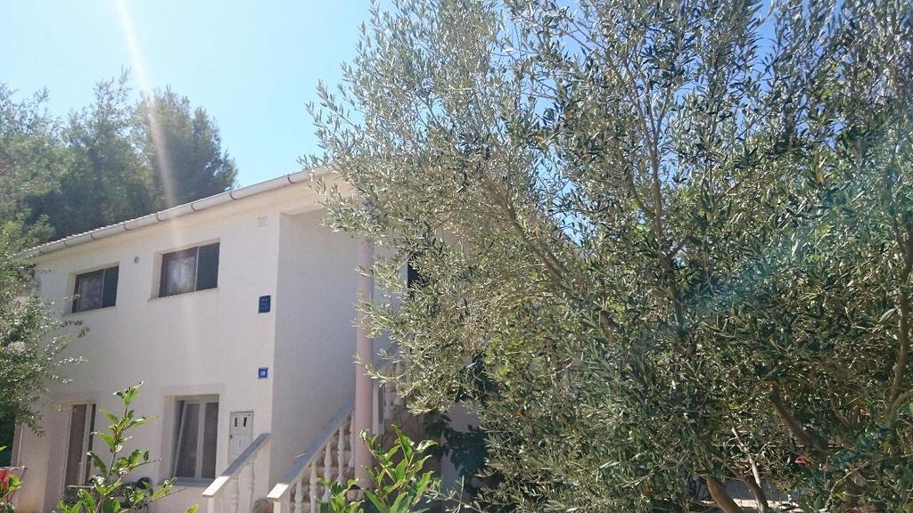 Apartments Mas-Rafaj Vir Dış mekan fotoğraf